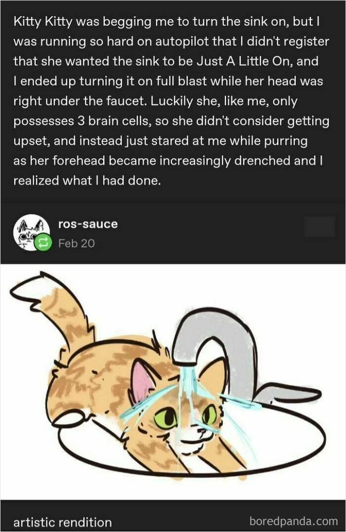 Cat getting accidentally drenched under running sink water in a humorous drawing by a Tumblr artist.
