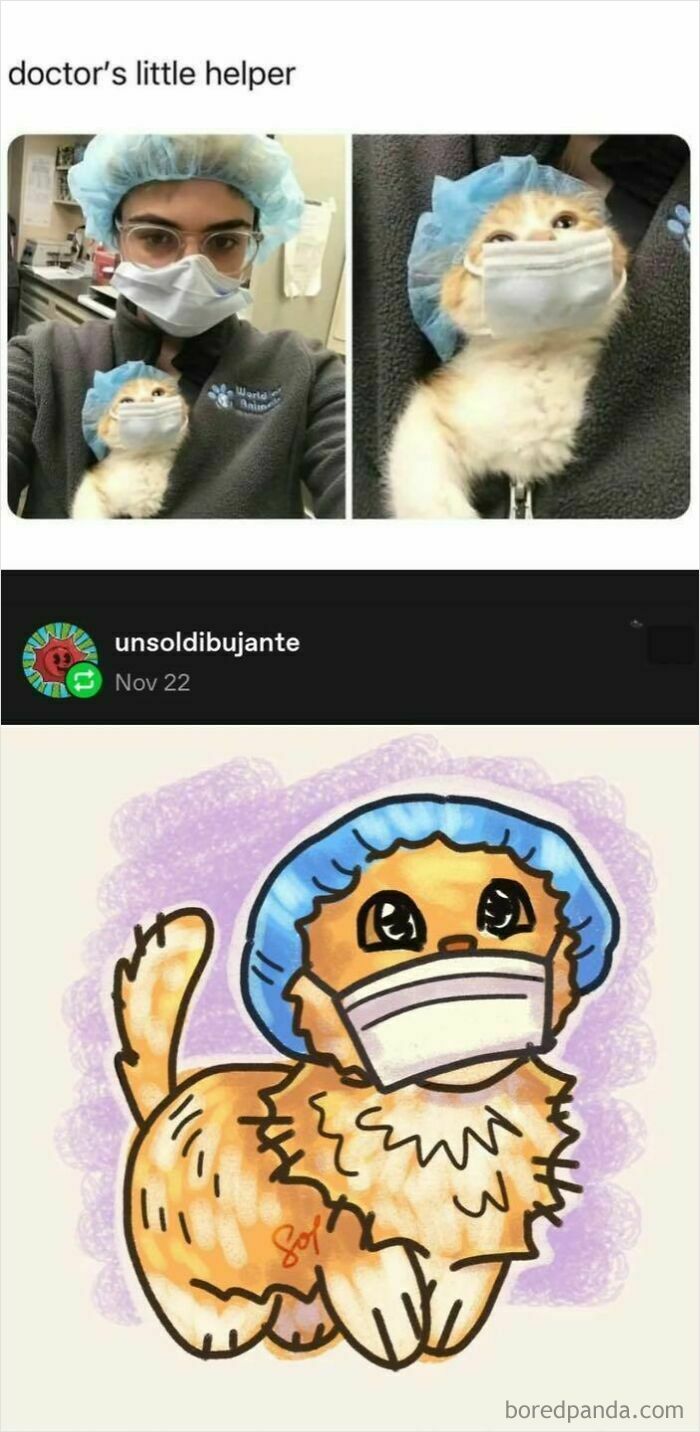 Cat wearing a surgical mask and cap next to a person, with a vibrant digital drawing by a Tumblr artist.