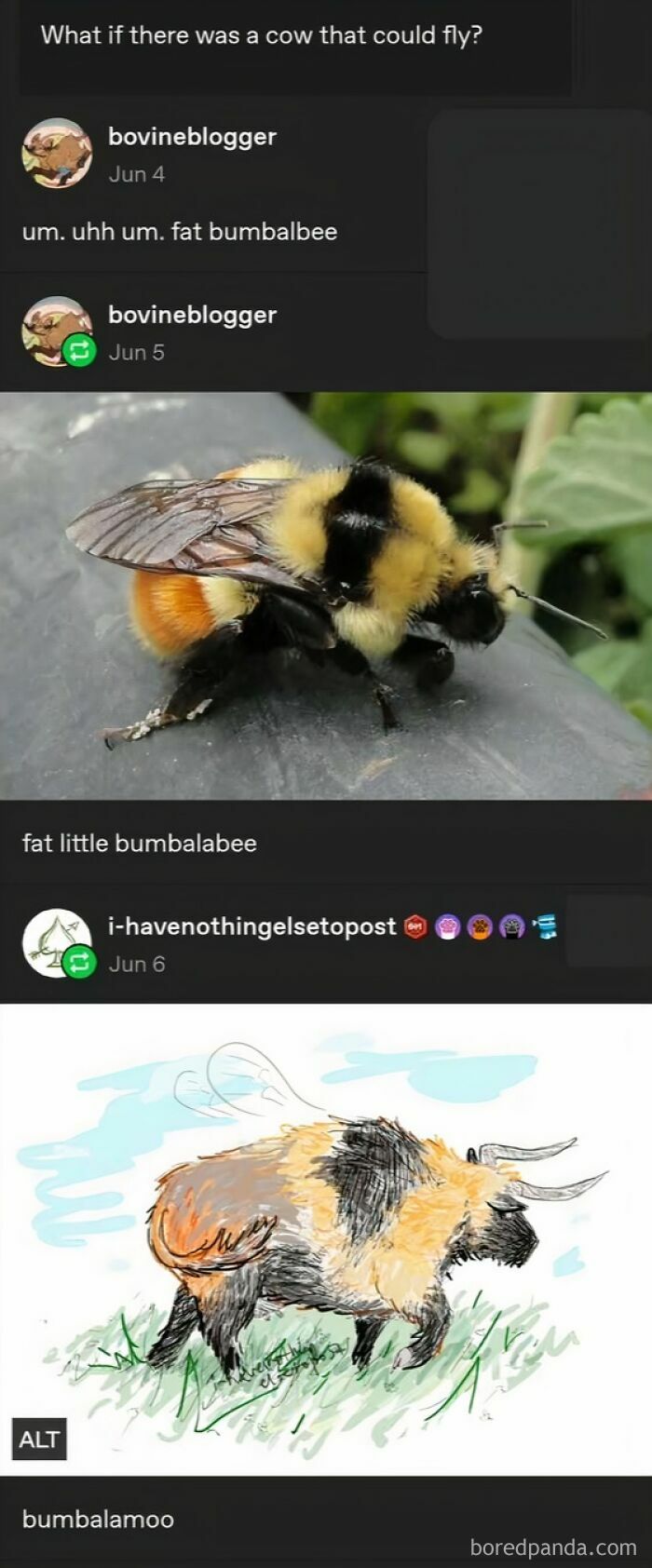 Tumblr post showing a photo of a bumblebee and a drawing of a cow-bumblebee hybrid by Tumblr artists.