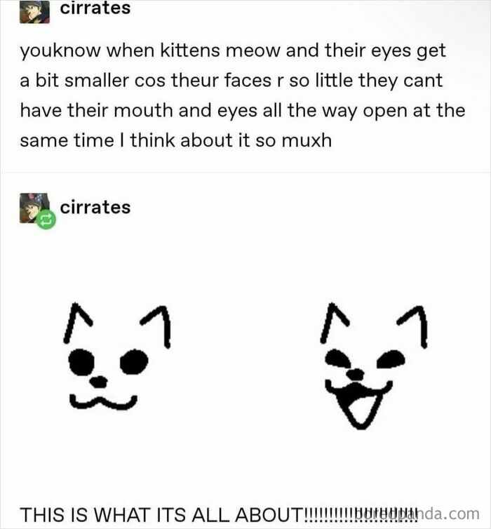 Simple black and white Tumblr art of kittens with small eyes and expressive faces by popular internet artists.