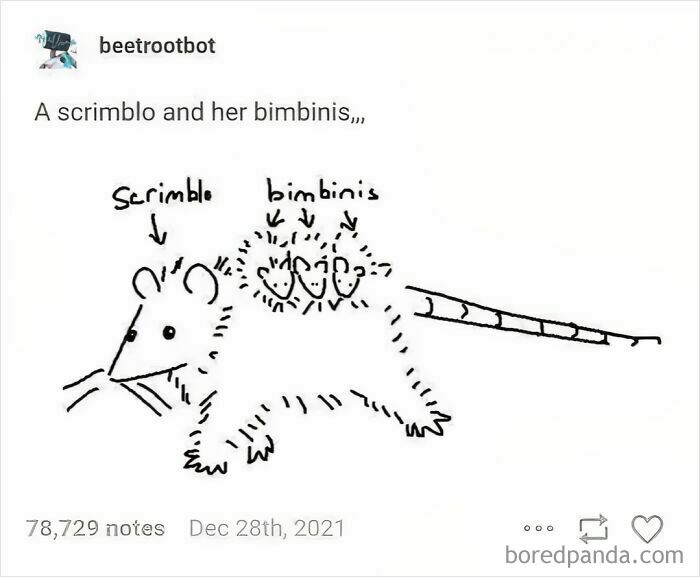 Simple black line drawing of a scrimblo mouse with three bimbinis on its back by a Tumblr artist.