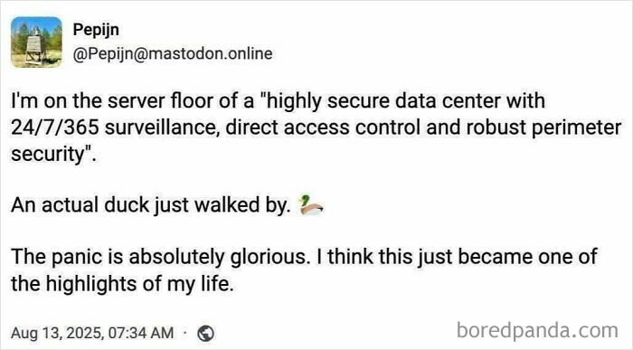 Programming meme showing a humorous story about a duck disrupting a highly secure server floor environment.