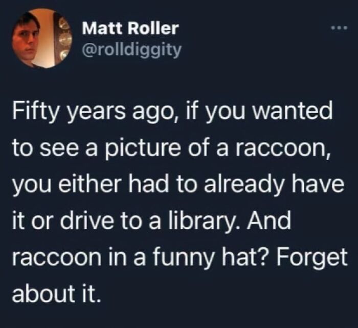 Tweet about the specific challenge of finding raccoon pictures fifty years ago, showing strangely specific and relatable humor.