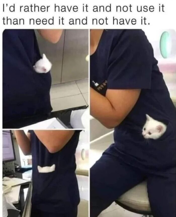 This Instagram Page With Over 4.8 Million Followers Is Delivering The Funniest Cat Memes On The Internet (25 Pics)