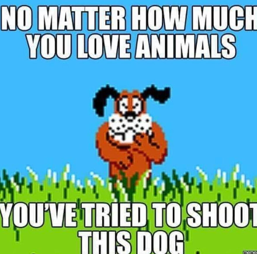 Pixelated 80s video game dog character with text about loving animals from posts about the 80s and past life moments.