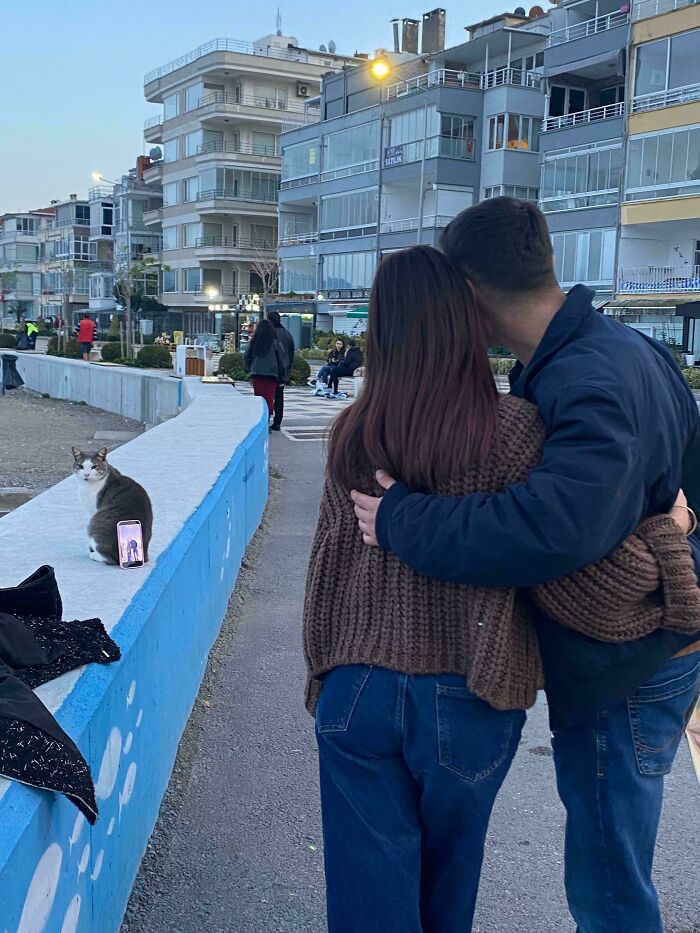 Cat with a phone taking a selfie outdoors as a couple hugs nearby in an urban setting, showcasing cats having jobs humorously.