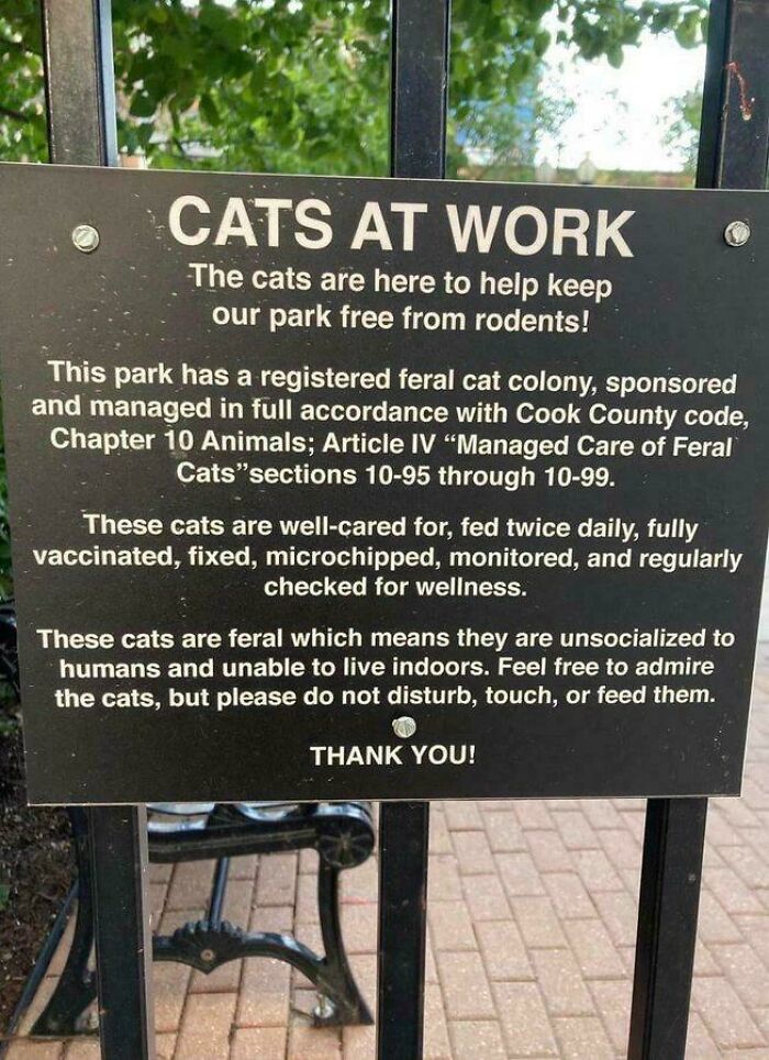 Sign explaining feral cats at work managing rodent control in a park, part of capitalism showing even cats have jobs.