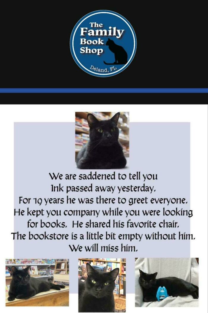 Memorial tribute to a bookstore cat who had a job greeting customers and keeping them company.