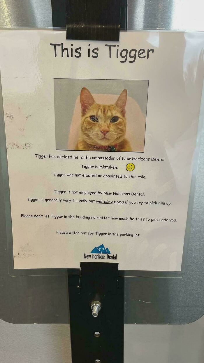 Photo of a notice with a cat named Tigger humorously described in a non-job role at New Horizons Dental, highlighting cats and jobs.