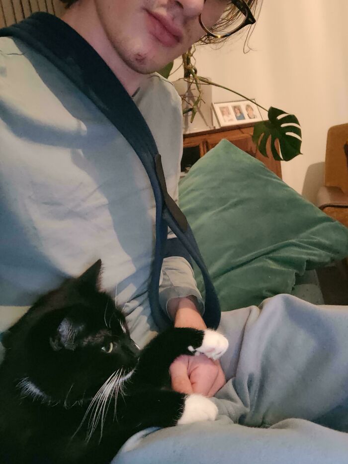 A black and white cat holding a person's hand, illustrating the concept of cats having jobs in modern capitalism.