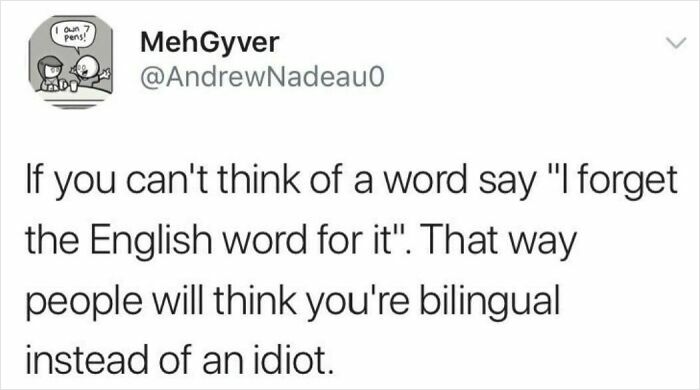 Funny and lighthearted safe-for-work meme about pretending to be bilingual when forgetting English words.