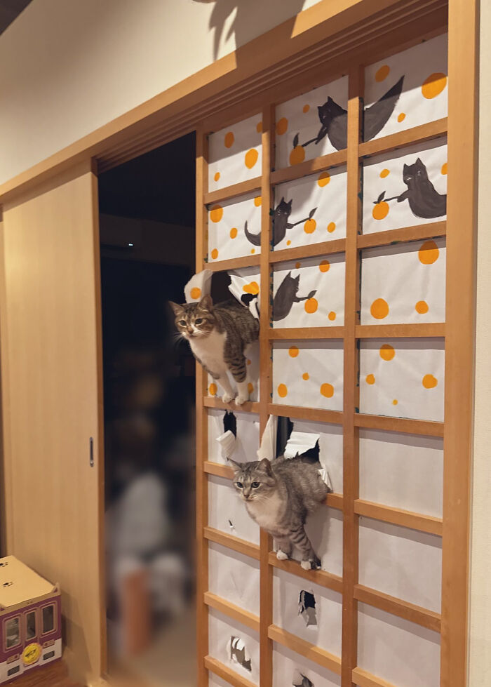Two cats poking through a torn paper door, humorously showing cats having jobs in a playful home setting.