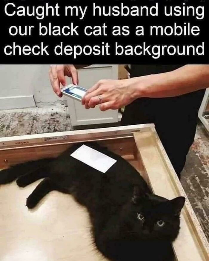 Black cat used as a mobile check deposit background showing capitalism humor with cats having jobs nowadays.