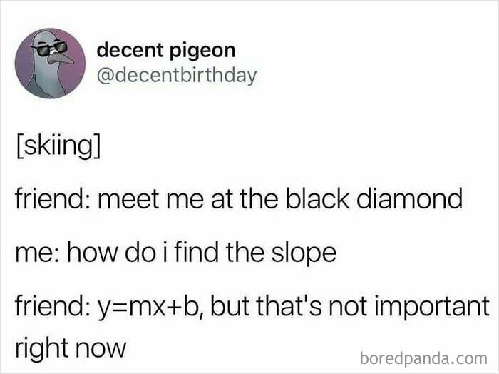 Funny and lighthearted meme about skiing using a math equation joke for safe-for-work humor.