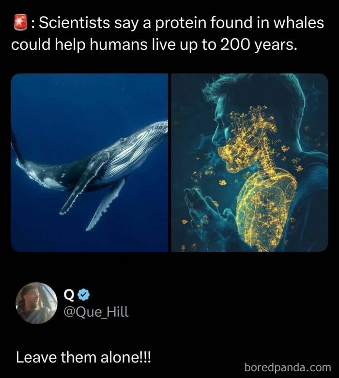 Image showing a whale and a glowing human figure with text about a protein that could help humans live longer, funny posts.