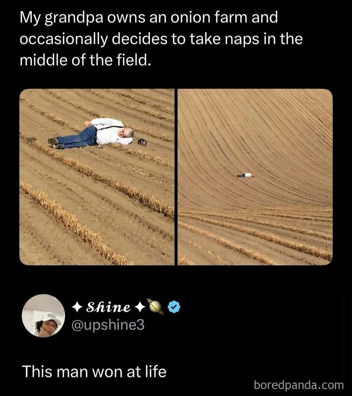 Man taking a nap in the middle of his grandpa's onion farm, a funny and interesting post to brighten your day.