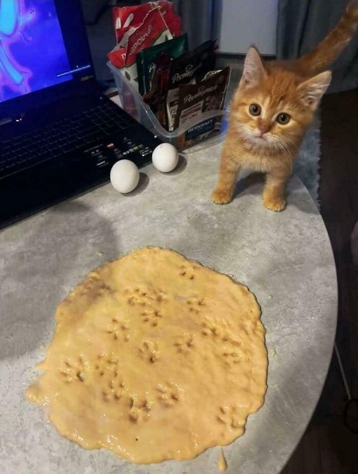 Orange kitten next to dough with cat paw prints, illustrating capitalism has gone so far even cats have jobs these days.