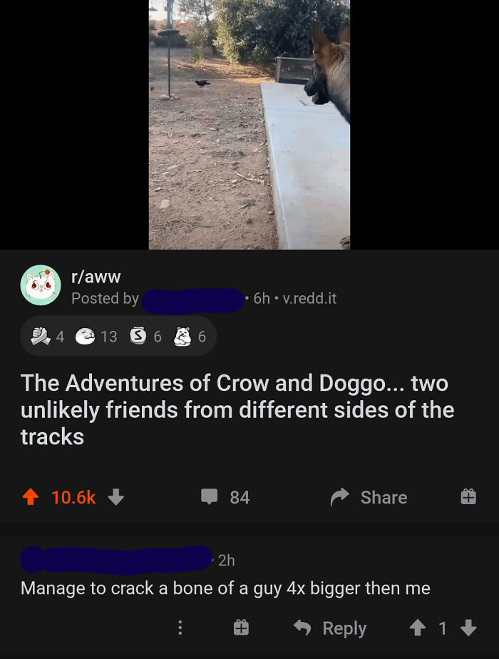 Under A Post Of A Dog Playing With A Crow