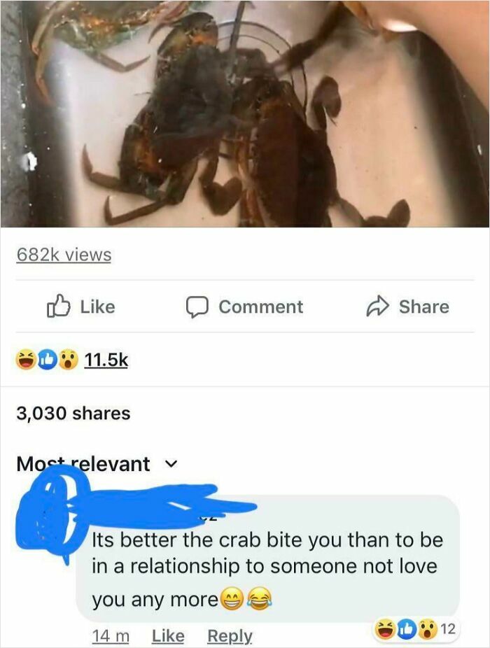 Found On A Video Of A Crab Biting Someones Hand