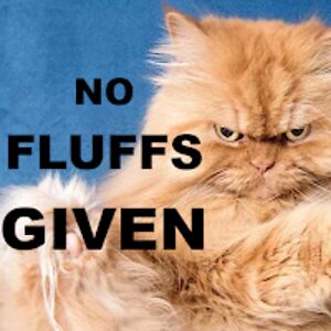 juleskennetdotr avatar