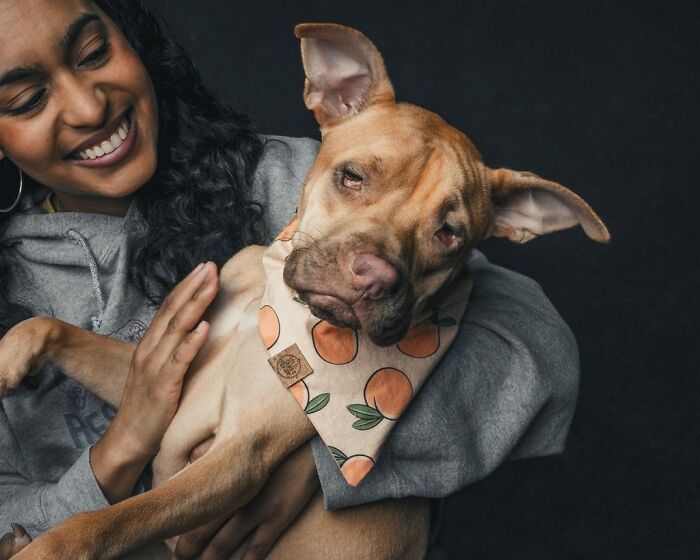 “Gotcha Day!” Captures Heartwarming Studio Portraits Of Rescue Dogs And Their Forever Humans (40 Pics) Interview