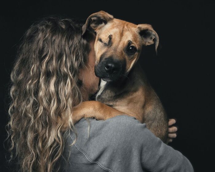 “Gotcha Day!” Captures Heartwarming Studio Portraits Of Rescue Dogs And Their Forever Humans (40 Pics) Interview