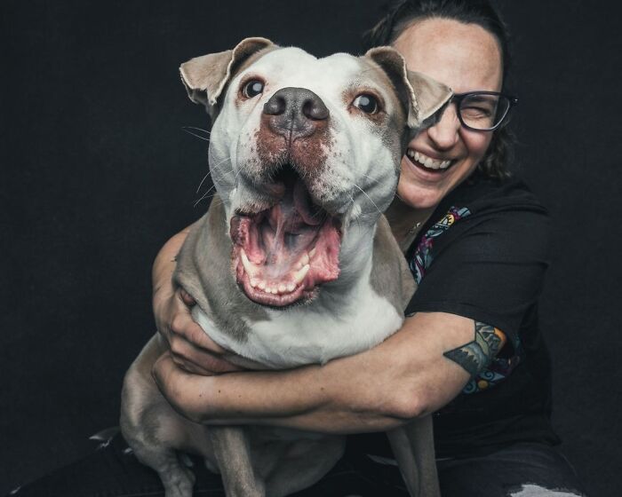 “Gotcha Day!” Captures Heartwarming Studio Portraits Of Rescue Dogs And Their Forever Humans (40 Pics) Interview