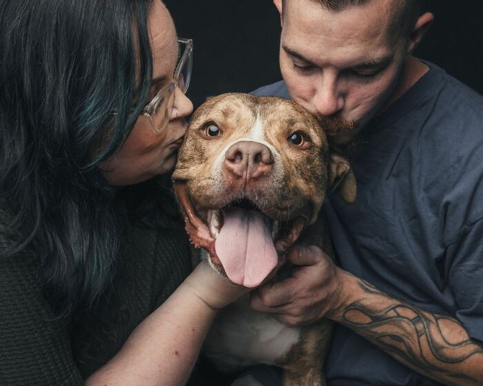 “Gotcha Day!” Captures Heartwarming Studio Portraits Of Rescue Dogs And Their Forever Humans (40 Pics) Interview