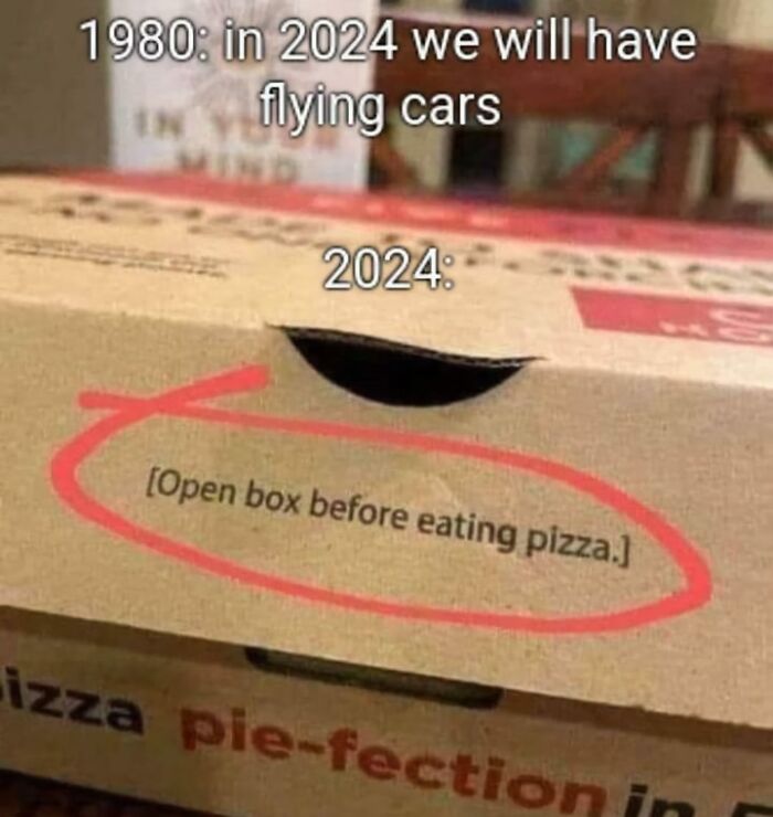 Pizza box with a red circle around confusing warning label, illustrating a depressing post about living in the stupidest time in history.