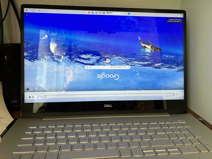 A Dell laptop displaying an upside-down Google search page. A weird upside-down thing that needs to fix immediately.