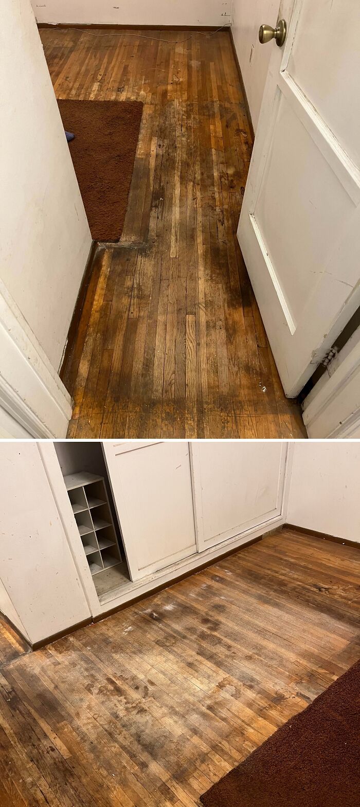 Worn and stained wooden floors revealing true colors of neglect, highlighting disappointing moments with friends online.