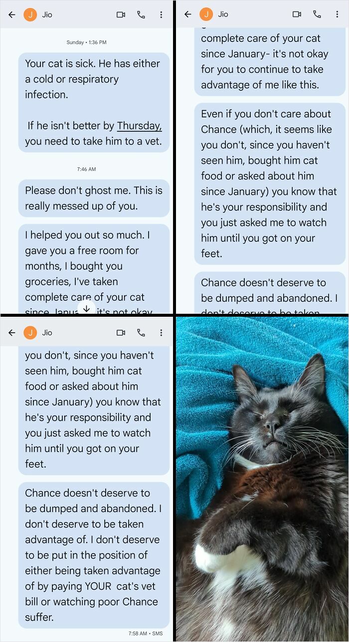 Text messages revealing a friend taking advantage by neglecting responsibility for a sick cat, exposing true colors.