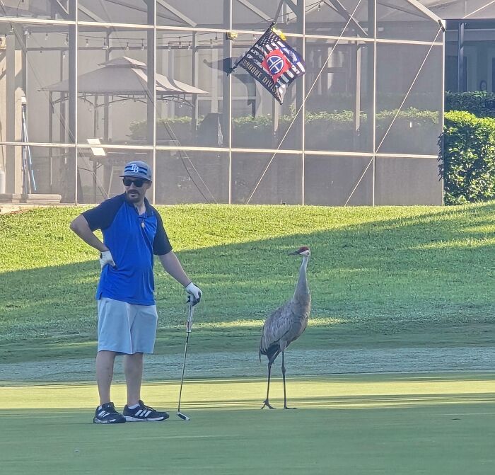 Man on a golf course next to a bird, illustrating moments people gut warned them about something horrible.