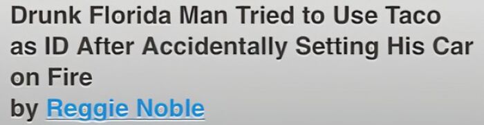 Headline about a drunk Florida man using a taco as ID after accidentally setting his car on fire, illustrating gut warnings.