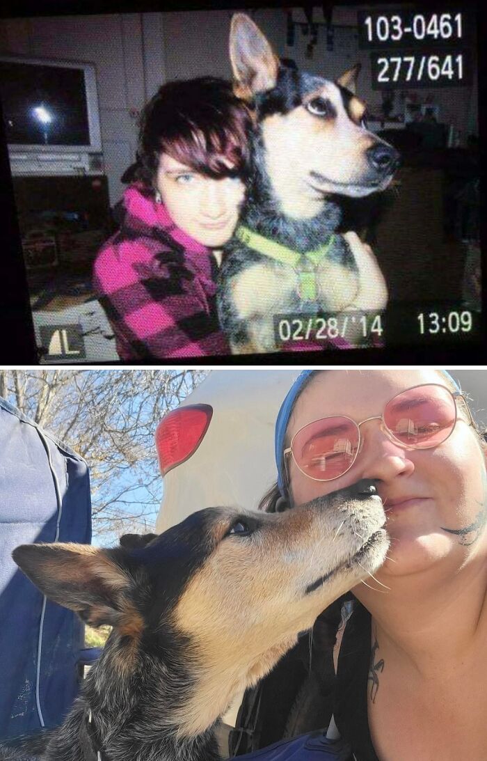 2014 vs. 2025 Childhood Dog