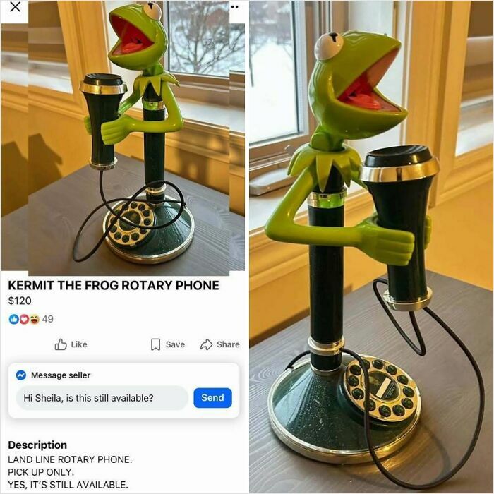 Kermit the Frog rotary phone listed among bizarre things people are selling online with unique and wild listings.