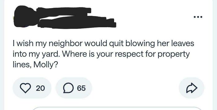 A screenshot of a hilarious neighborhood online community post complaining about a neighbor blowing leaves onto their yard.