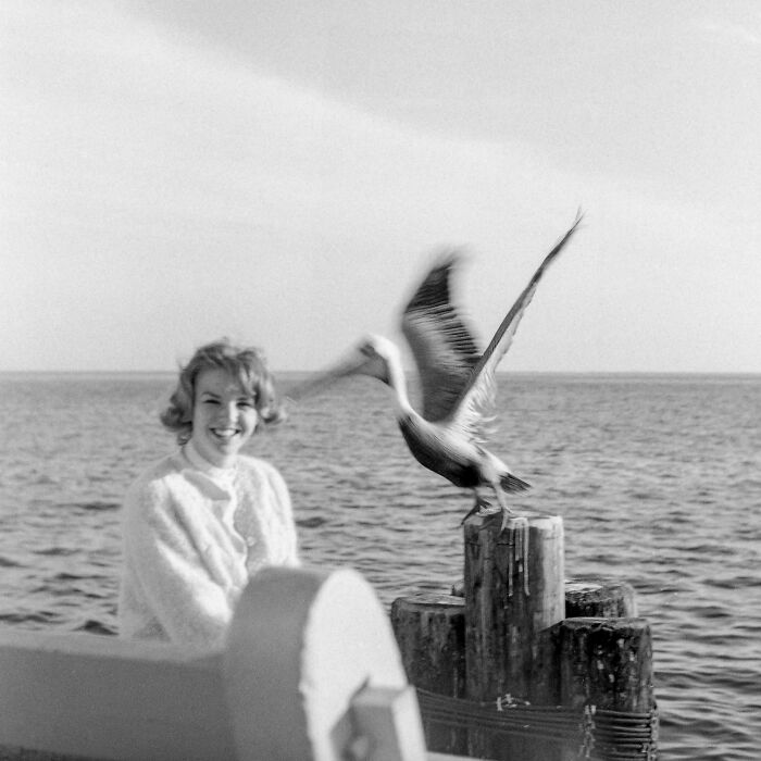 A candid old photo of a young woman smiling by the ocean with a pelican taking flight from a wooden post.