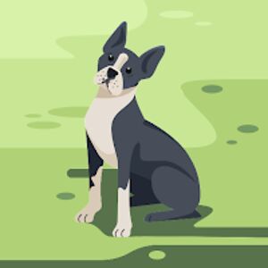clover_3 avatar