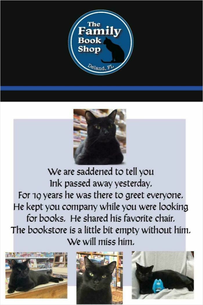 Memorial tribute to a bookstore cat who had a job greeting customers and keeping them company.