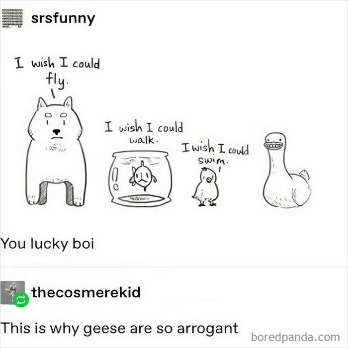 Cartoon drawing by Tumblr artists showing animals wishing for abilities they lack, highlighting creative Tumblr artists online.