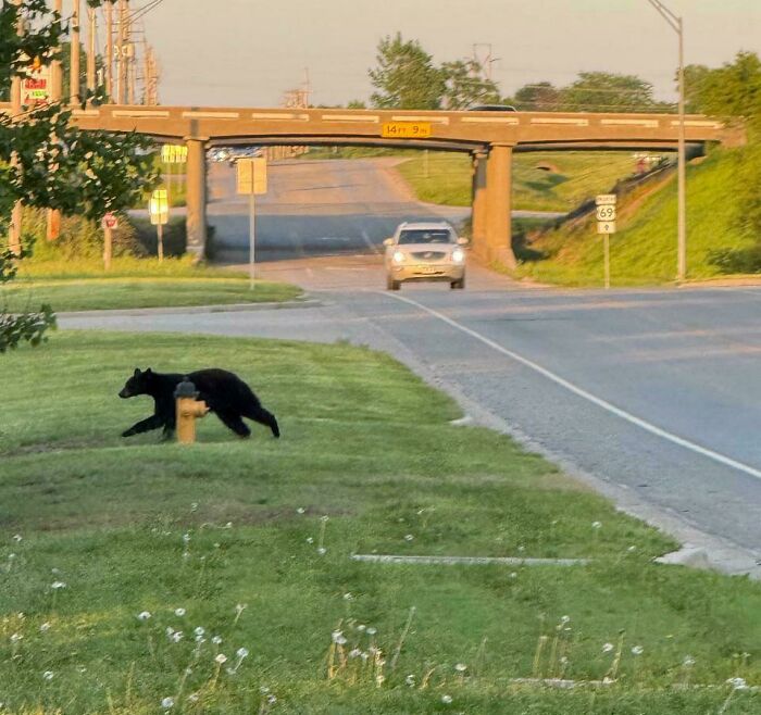 “Still Feels Fake”: 69 People Whose Stories Sound Made Up But Are 100% Real