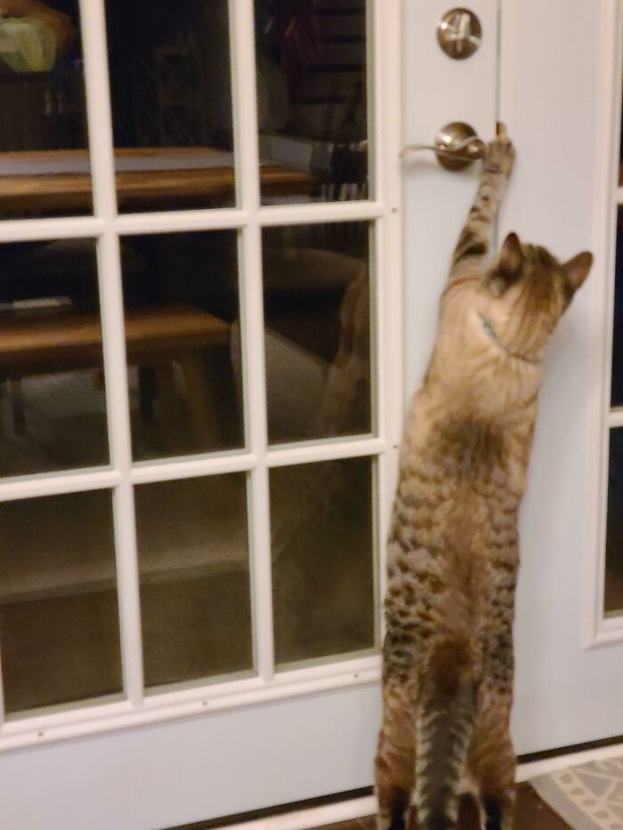 “Still Feels Fake”: 69 People Whose Stories Sound Made Up But Are 100% Real