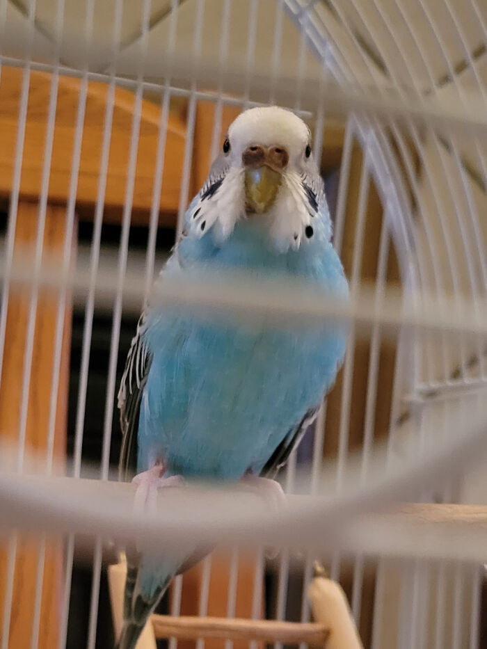 “Still Feels Fake”: 69 People Whose Stories Sound Made Up But Are 100% Real