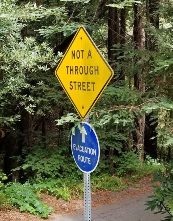 Confusing and funny street signs showing not a through street and evacuation route in a forested area.