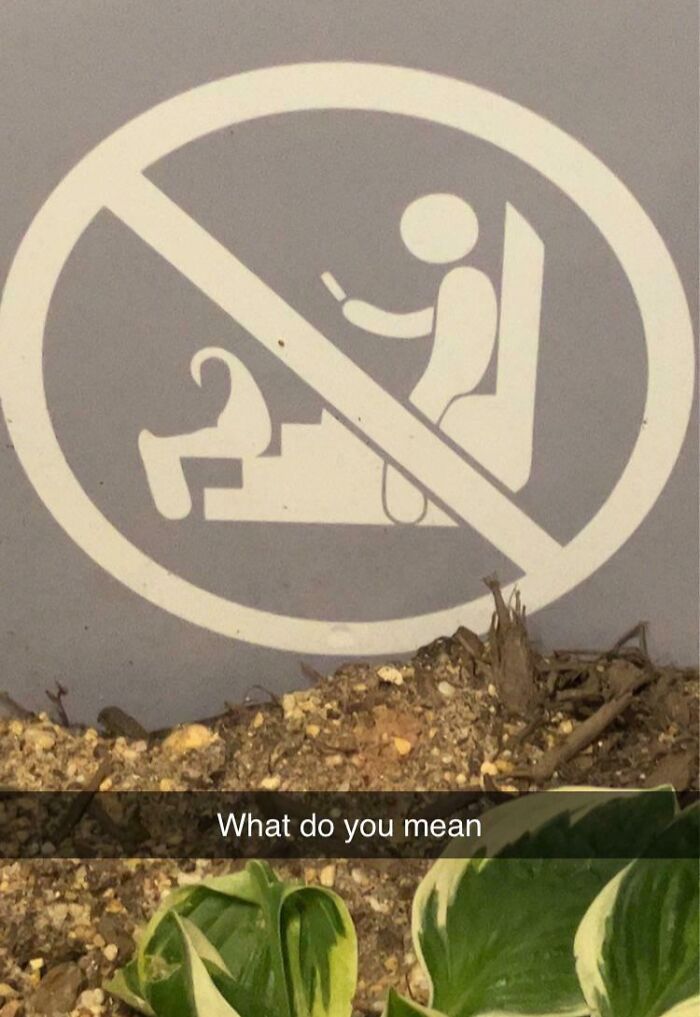 No sitting on the ground with a phone sign, humorous confusing sign from funny bee-related warning collection