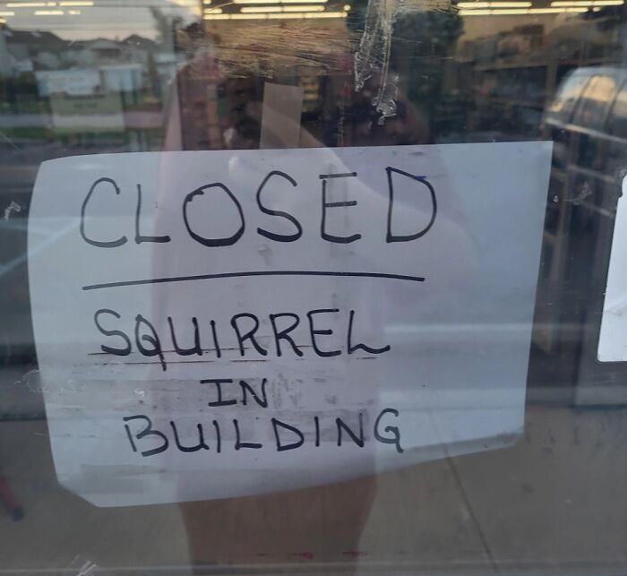 Handwritten sign on glass reading closed due to a squirrel in the building, showcasing funny confusing signs.