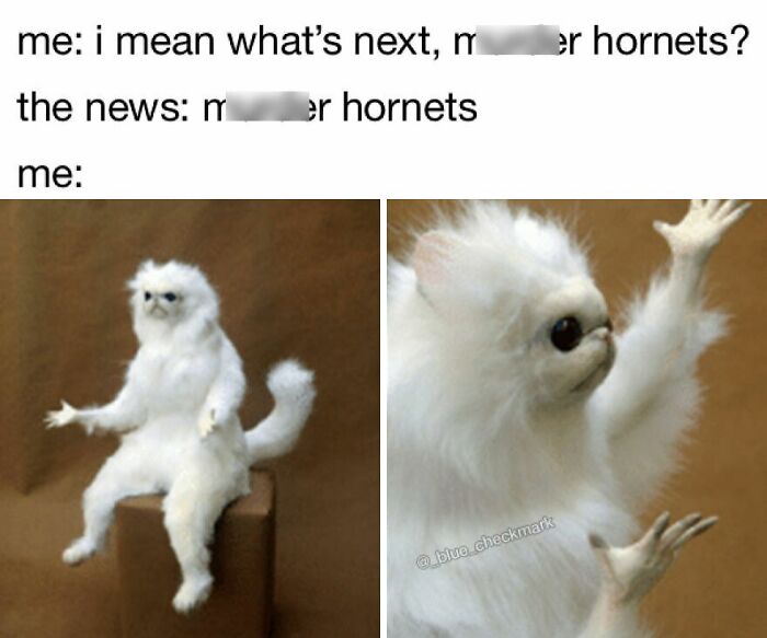 42 Memes To Lift Your Spirits, As Shared By This Instagram Page (New Pics)