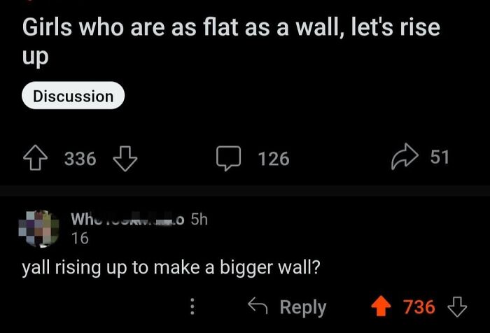 A Reddit post and comment featuring epic burns and witty insults. The post asks flat-chested girls to rise up, with a reply asking if they're rising to make a bigger wall.