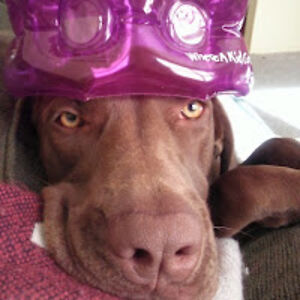 marshallharrison avatar